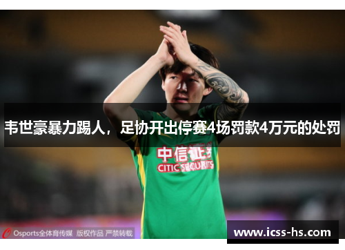韦世豪暴力踢人，足协开出停赛4场罚款4万元的处罚